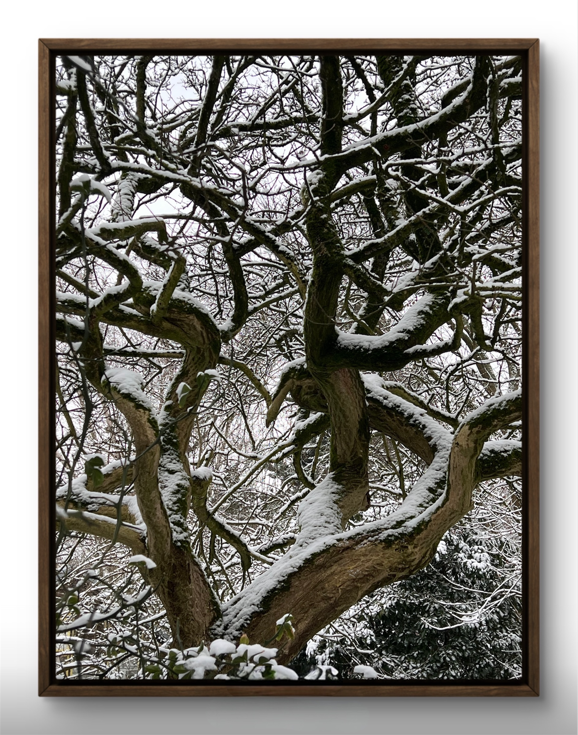 Photoroom_20260216_153054.PNG (Copy)