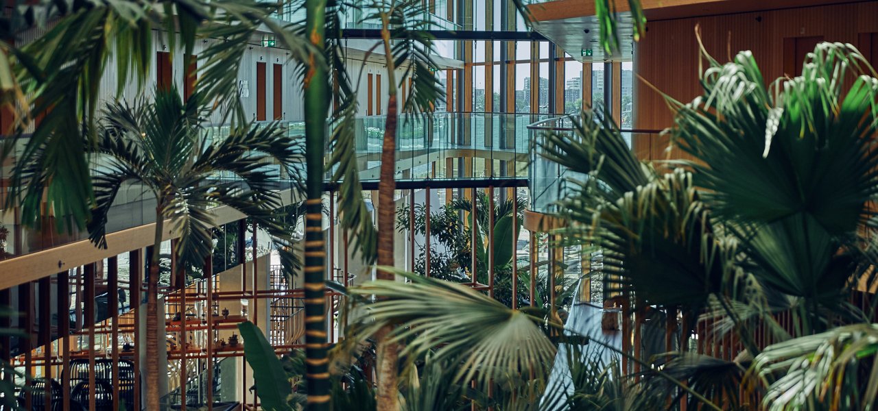 hotel-jakarta-amsterdam-westcord-hotels-hortus-botanicus-subtropische-tuin-4.jpg