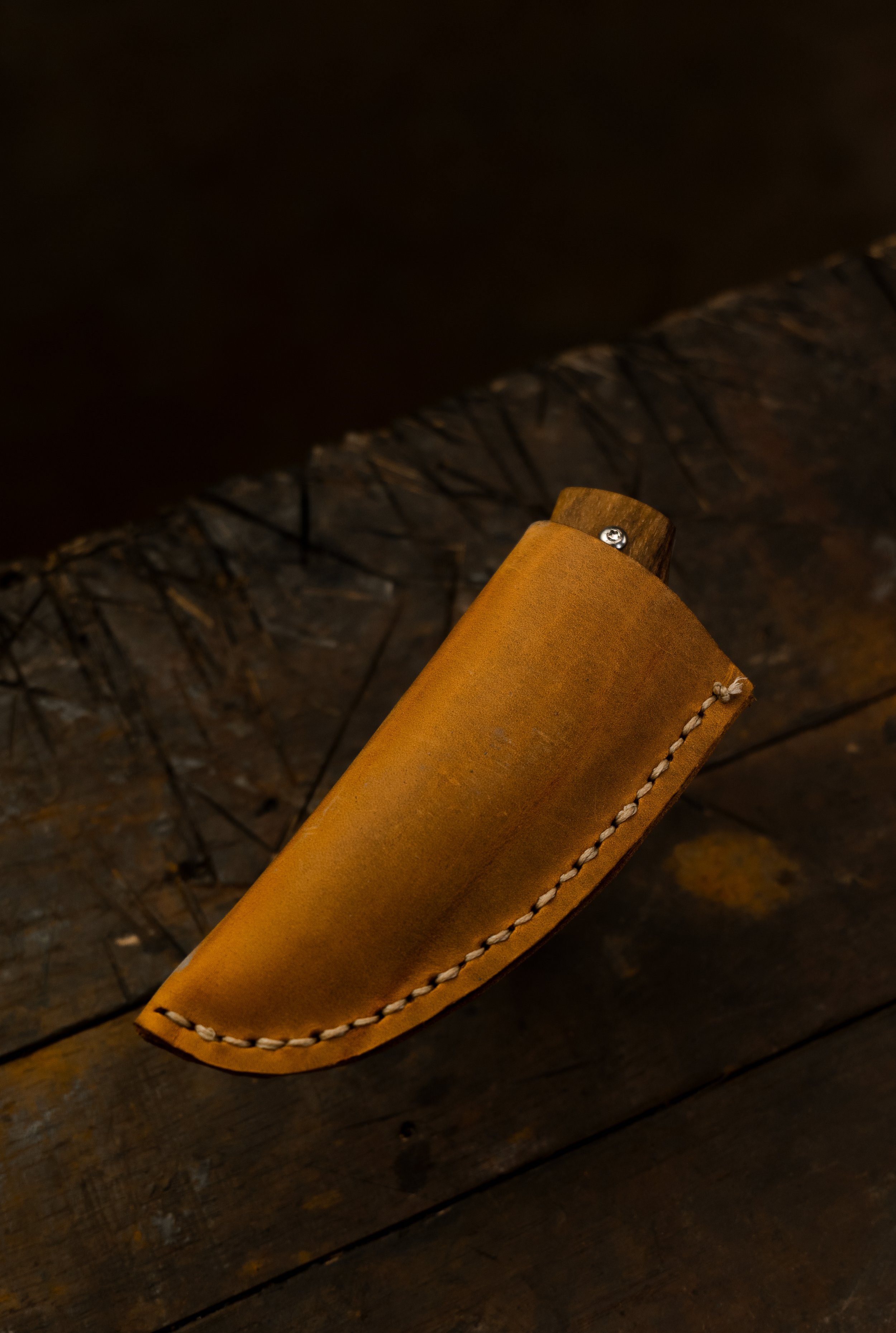 Folder02Leather01.jpg