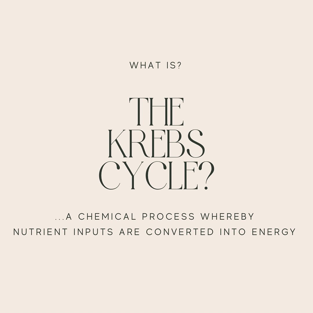 The Krebs cycle is one of the most fundamental chemical processes in providing energy for all metabolic processes. 

There are two stages in the cycle, with a number of essential nutrients required in order complete the conversion of glucose to ATP:
