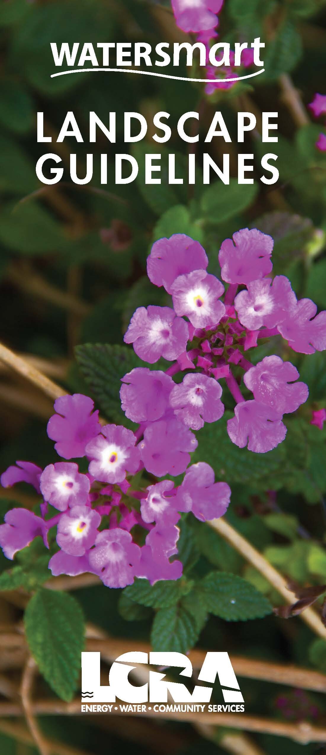 Watersmart: Landscape Guidelines Brochure
