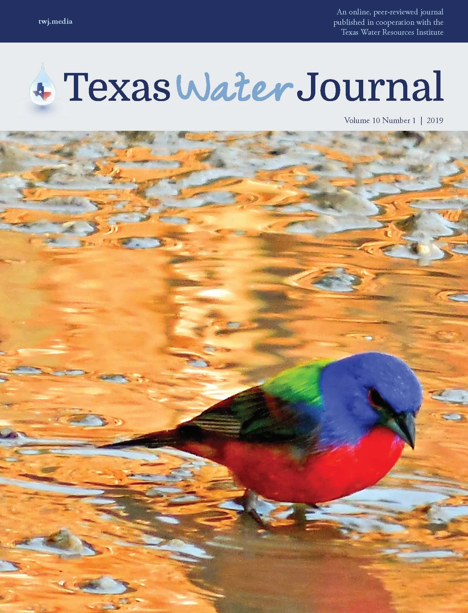 Economically Recoverable Water in Texas: An Underappreciated Water Management Strategy?