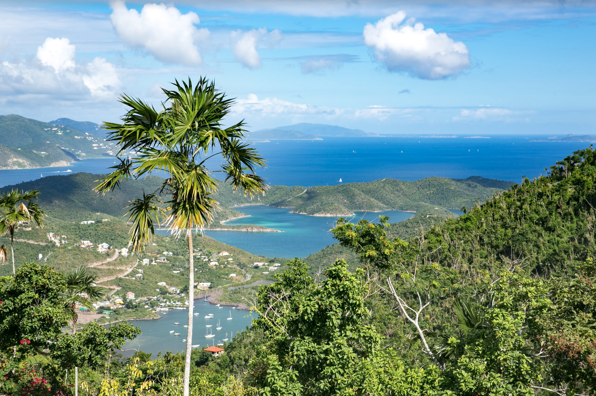 Vela Vista Deck View
