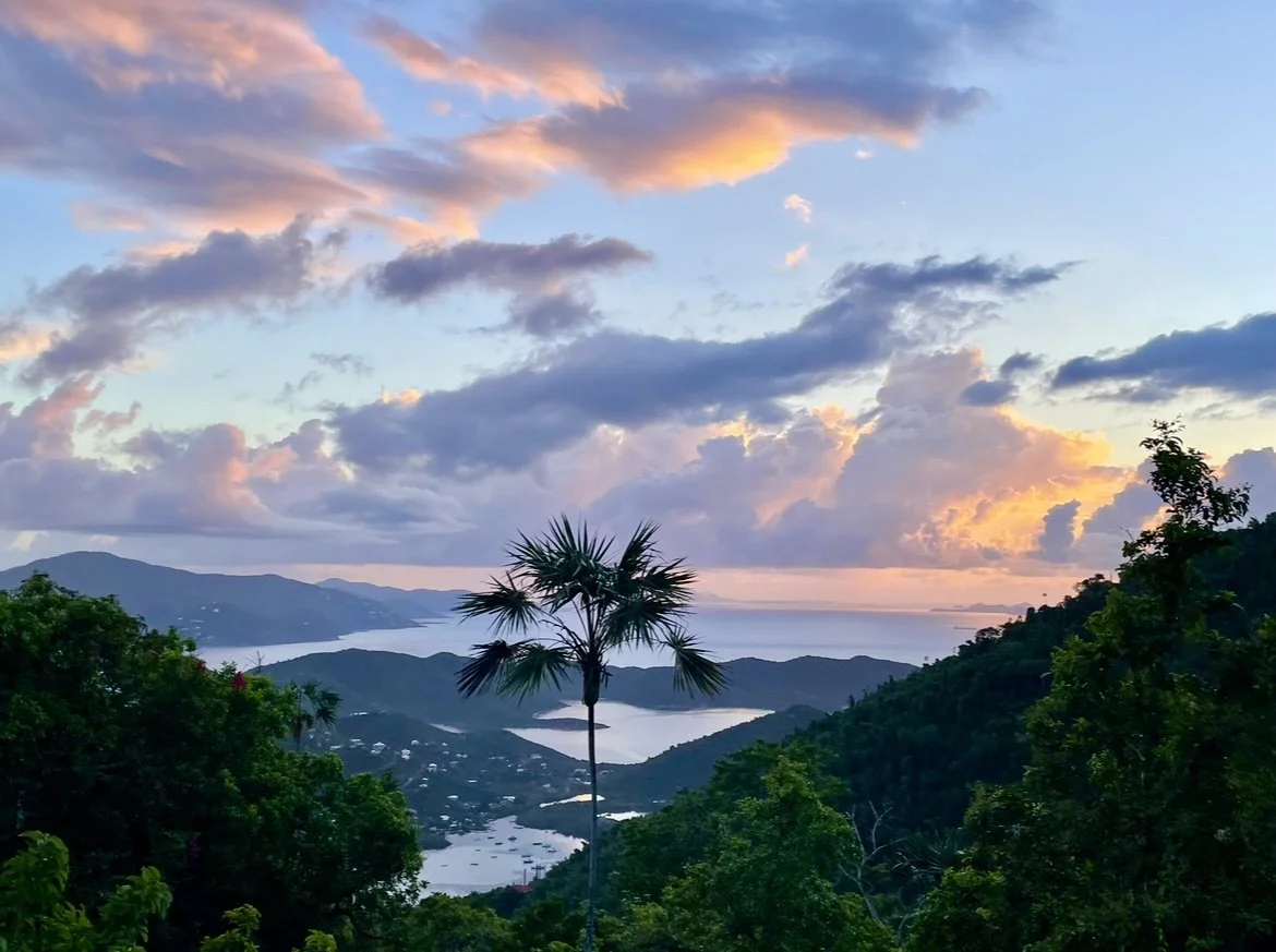 Vela Vista_sunset hues 2.jpg