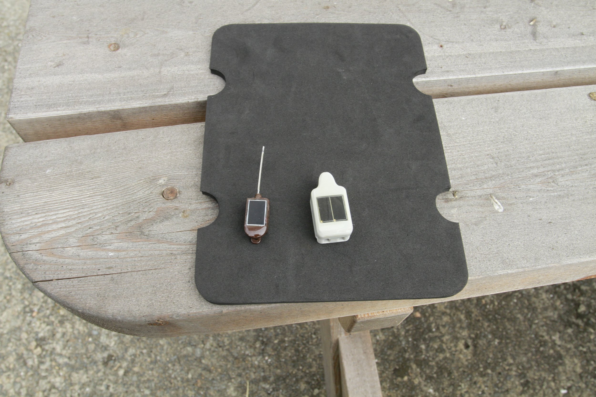 Exemples de puces GPS (taille 3 cm max)