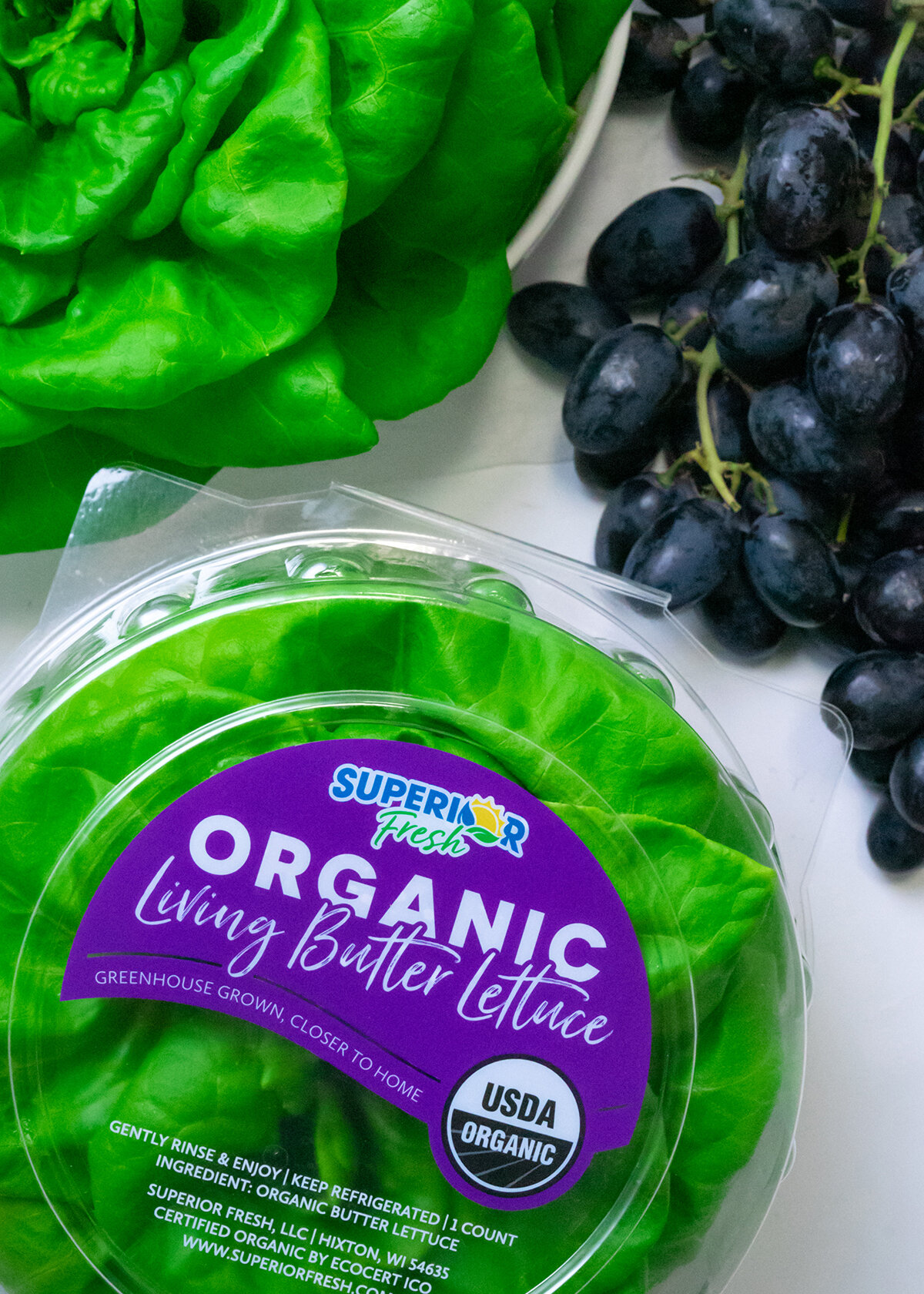 Organic Butter Lettuce.jpg