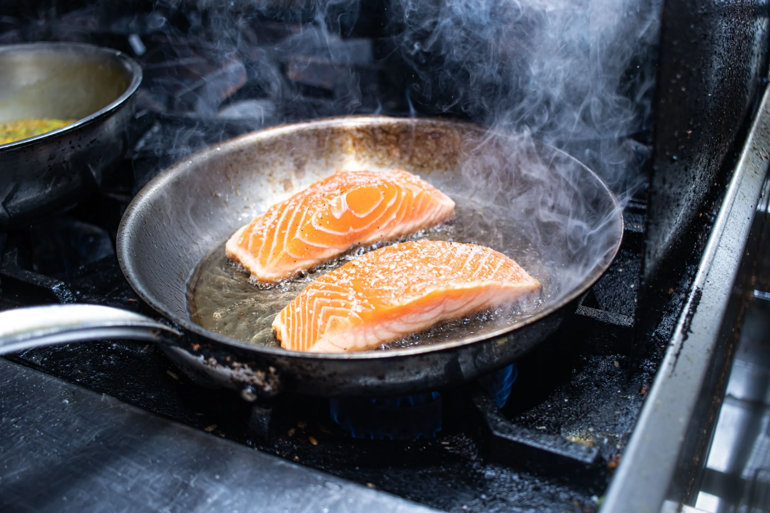 le cheatau salmon_006.JPG