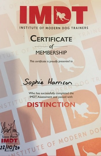 IMDT Accreditation with Distinction.JPG