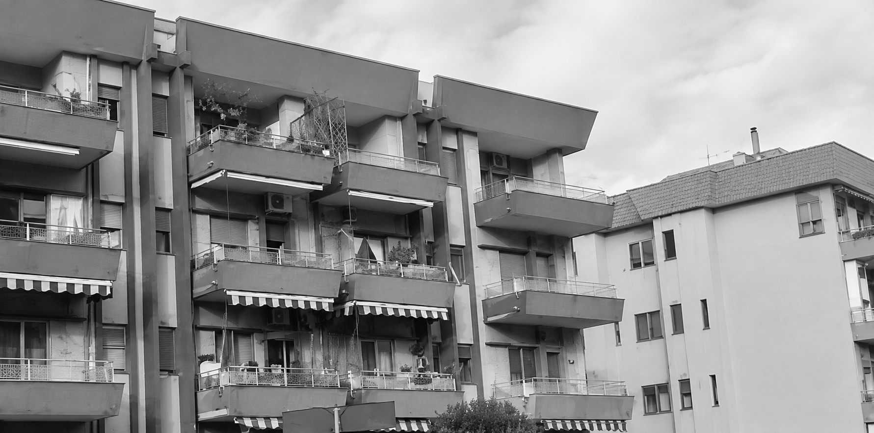 bando fitti | 2022