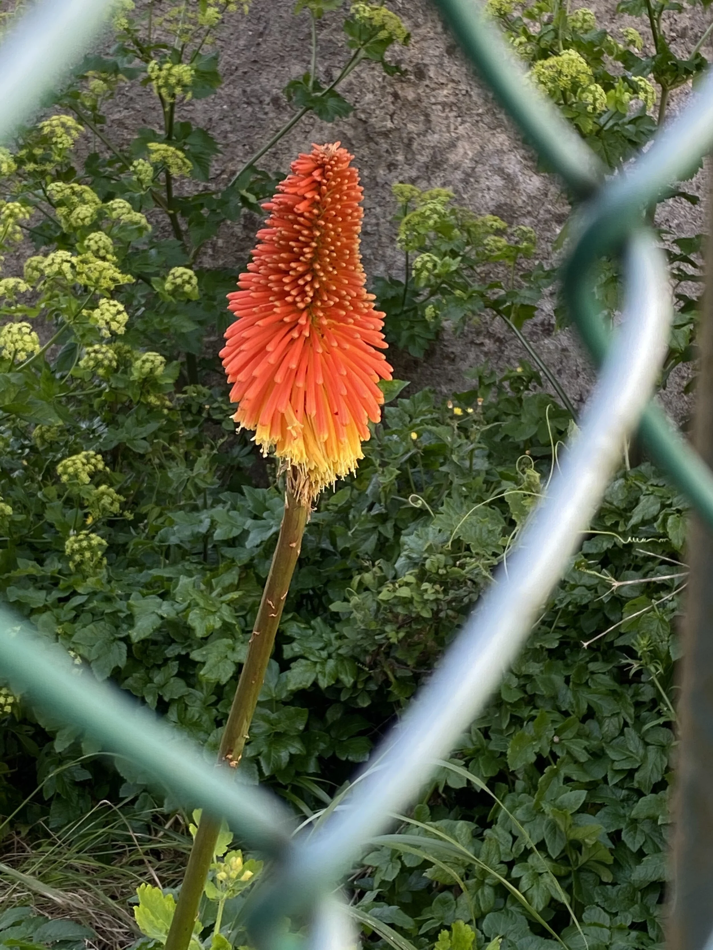 Freude zum Neuanfang nach dem Lockdown – so geht es weiter.