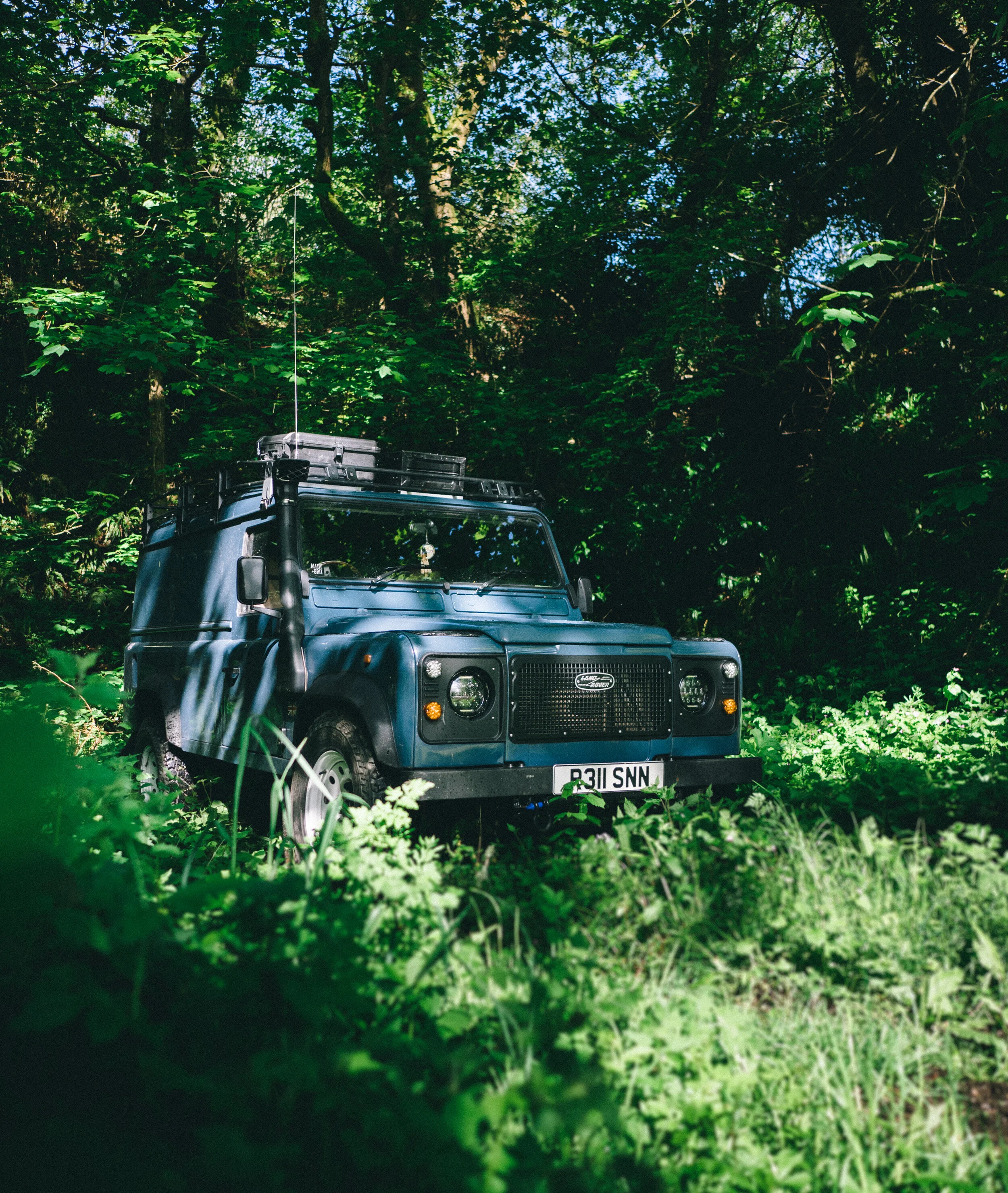 Boris Colston-15.JPG