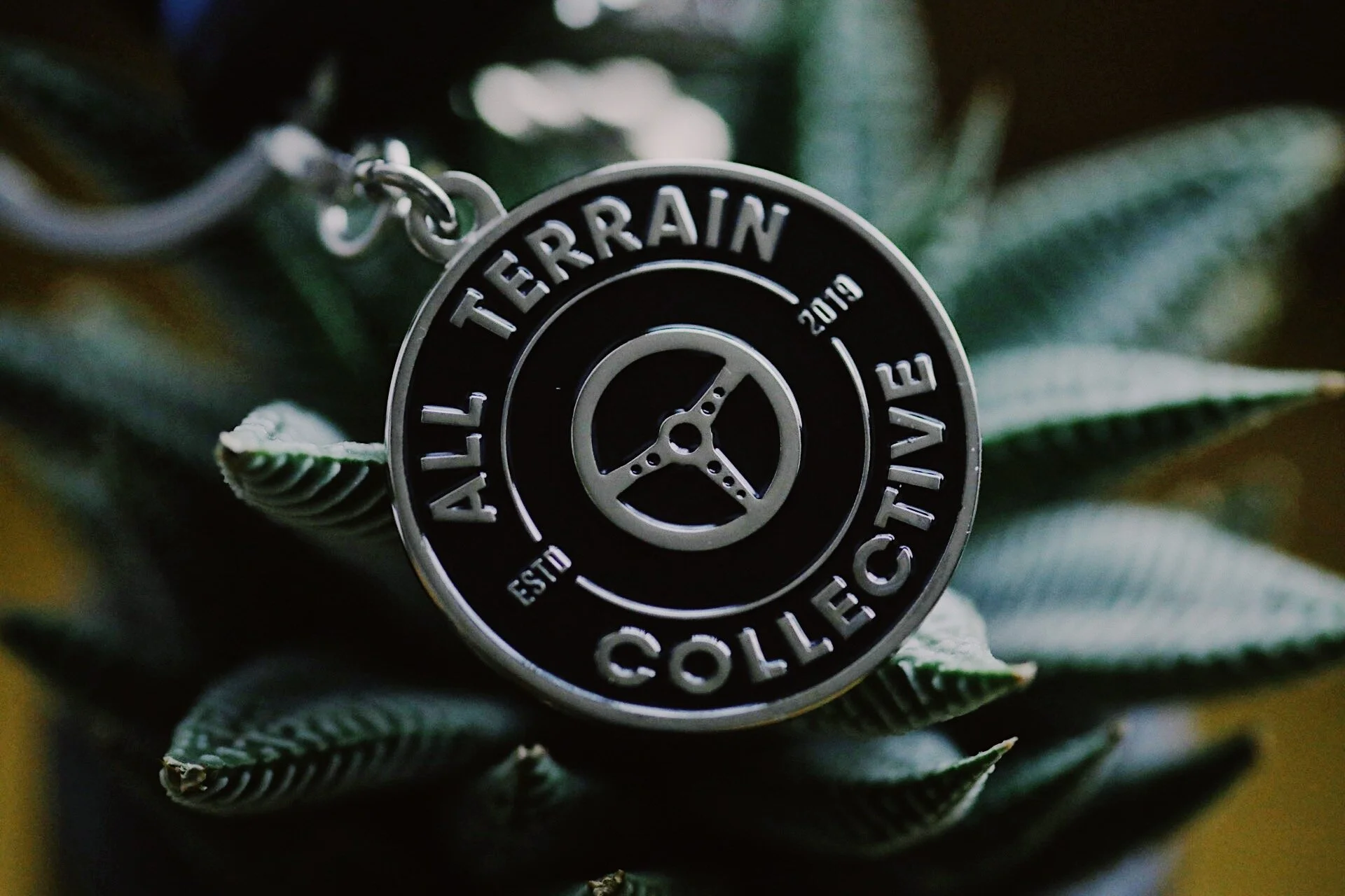 6FF46A98-DB77-4ABC-A369-AB9E27BB76C2