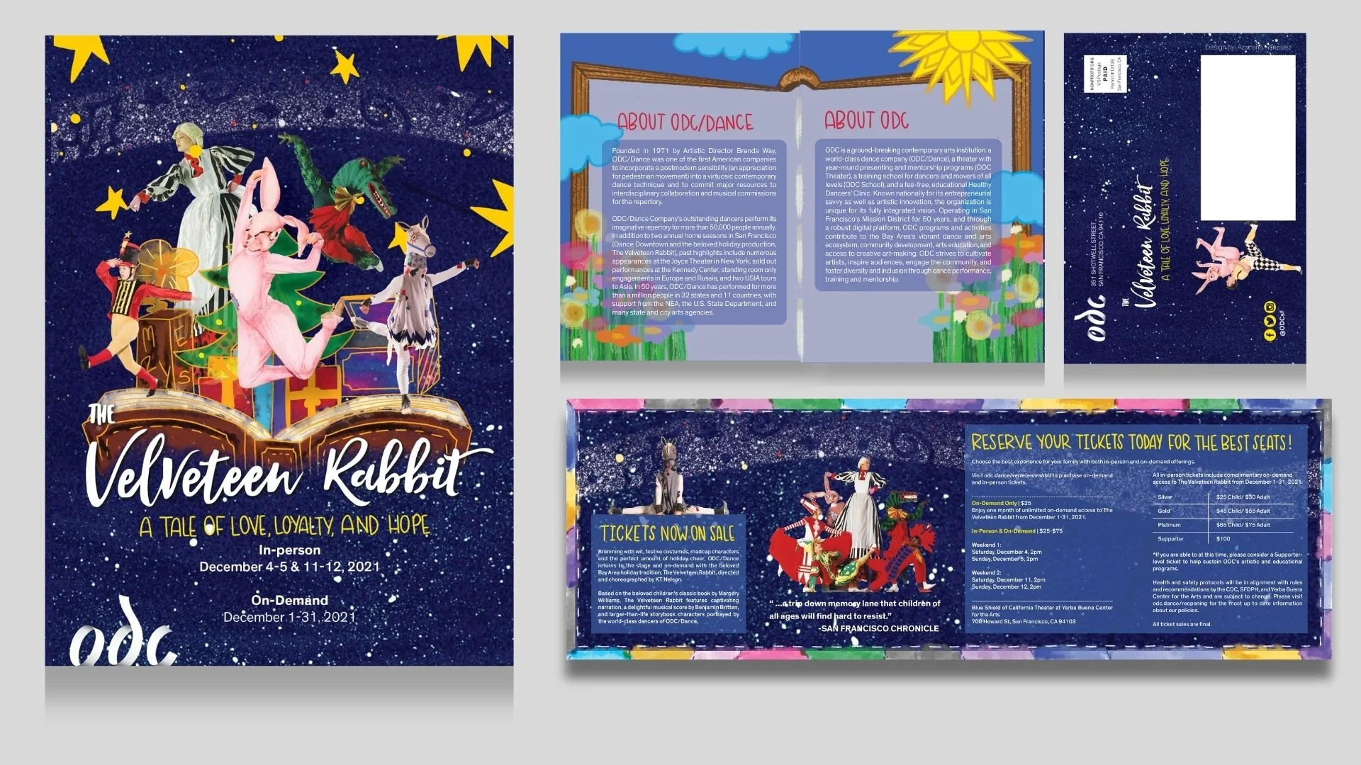 Mailed 4-panel Accordion Brochure (2021)