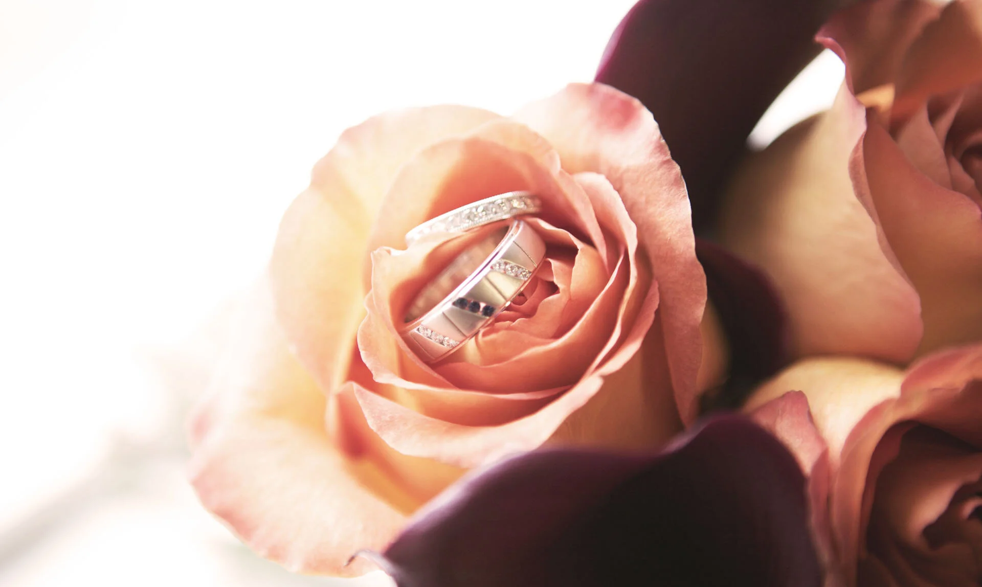rings.jpg