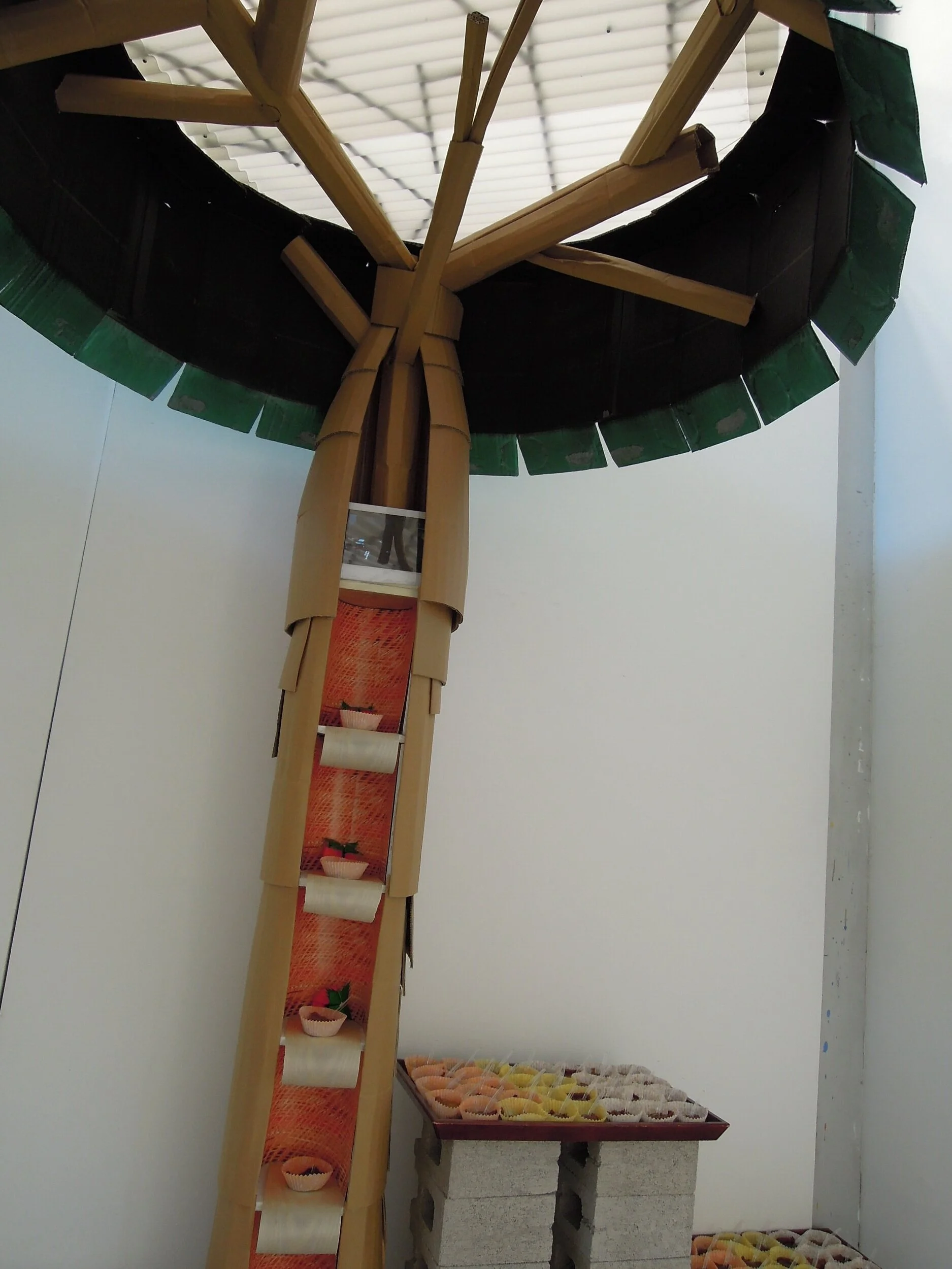 DSCN8362.JPG