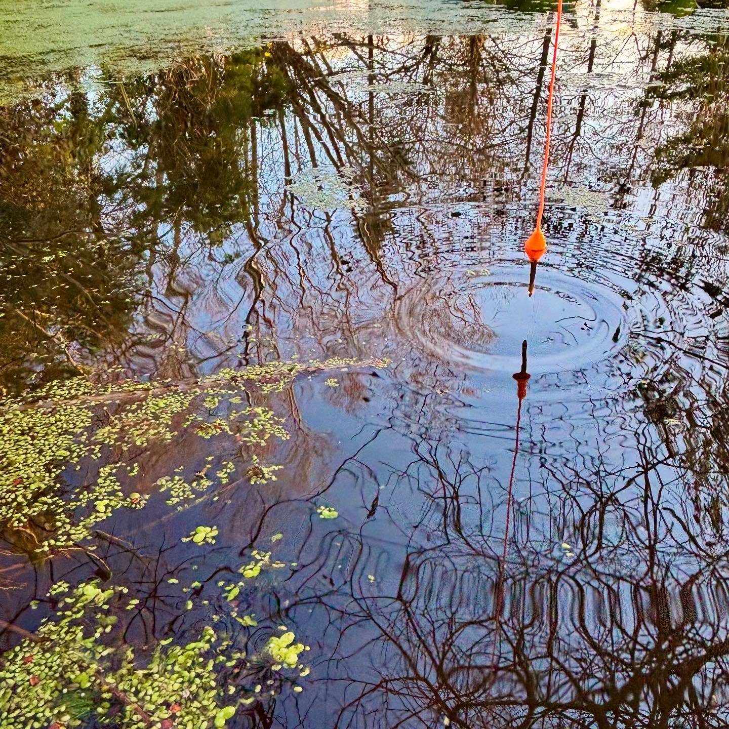 Bathymetric measurements
Imagining inverted mountains
Mass as form as line
Reflections deceive and distort
Relationships muddled by a deep plunge
. . .
This Sunday at @stiwdiomaelor as part of &lsquo;Under One Roof II&rsquo;

Pwll yn Bod : Pond Becom