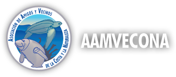 logo-aamvecona.png