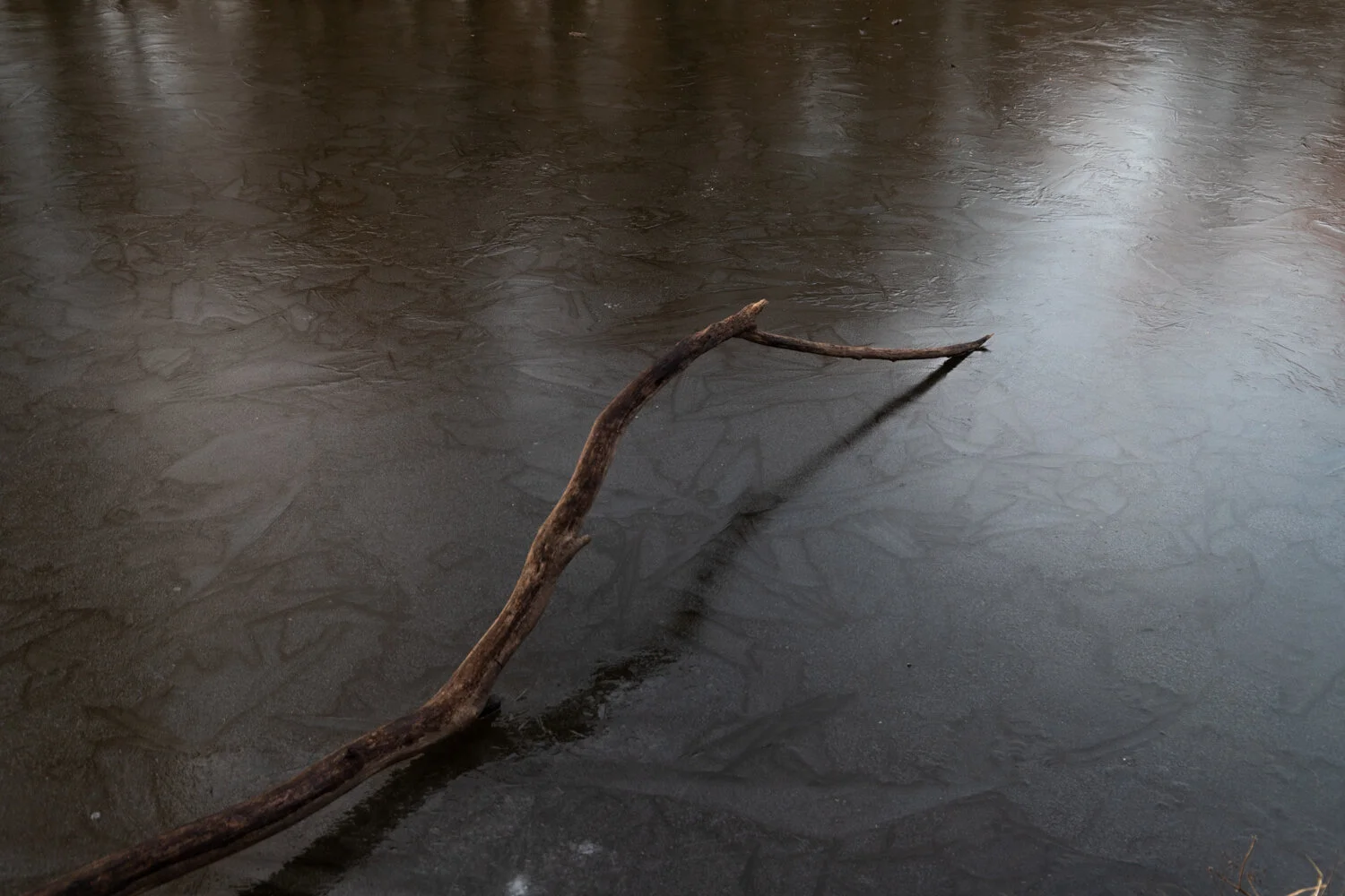 Orman_fineart_005.jpg