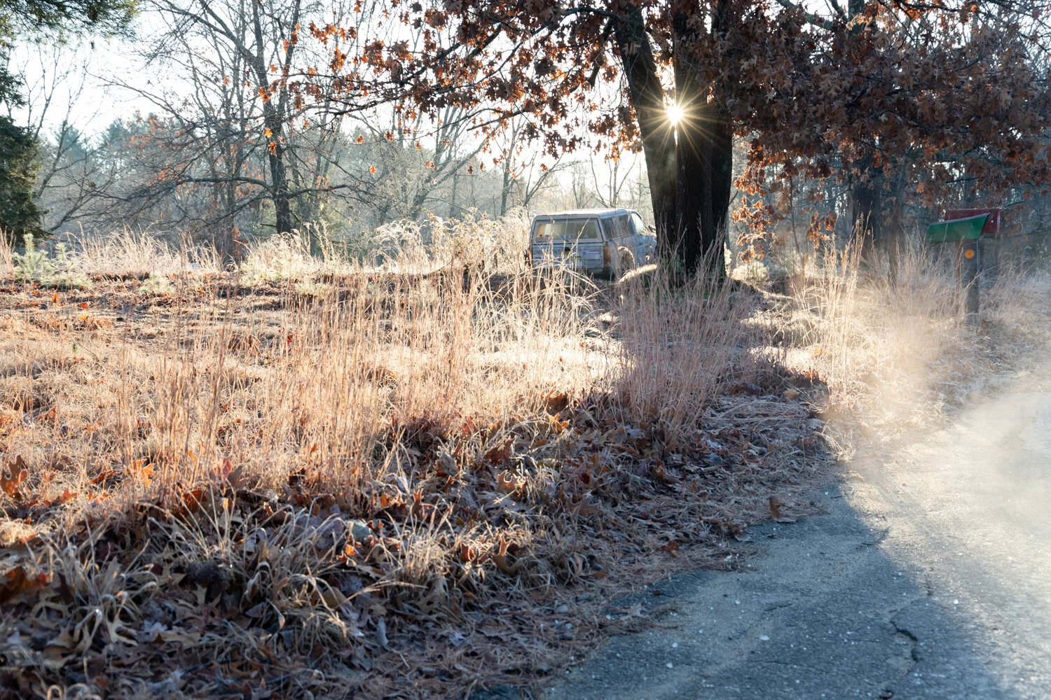 wintermorning_001.jpg