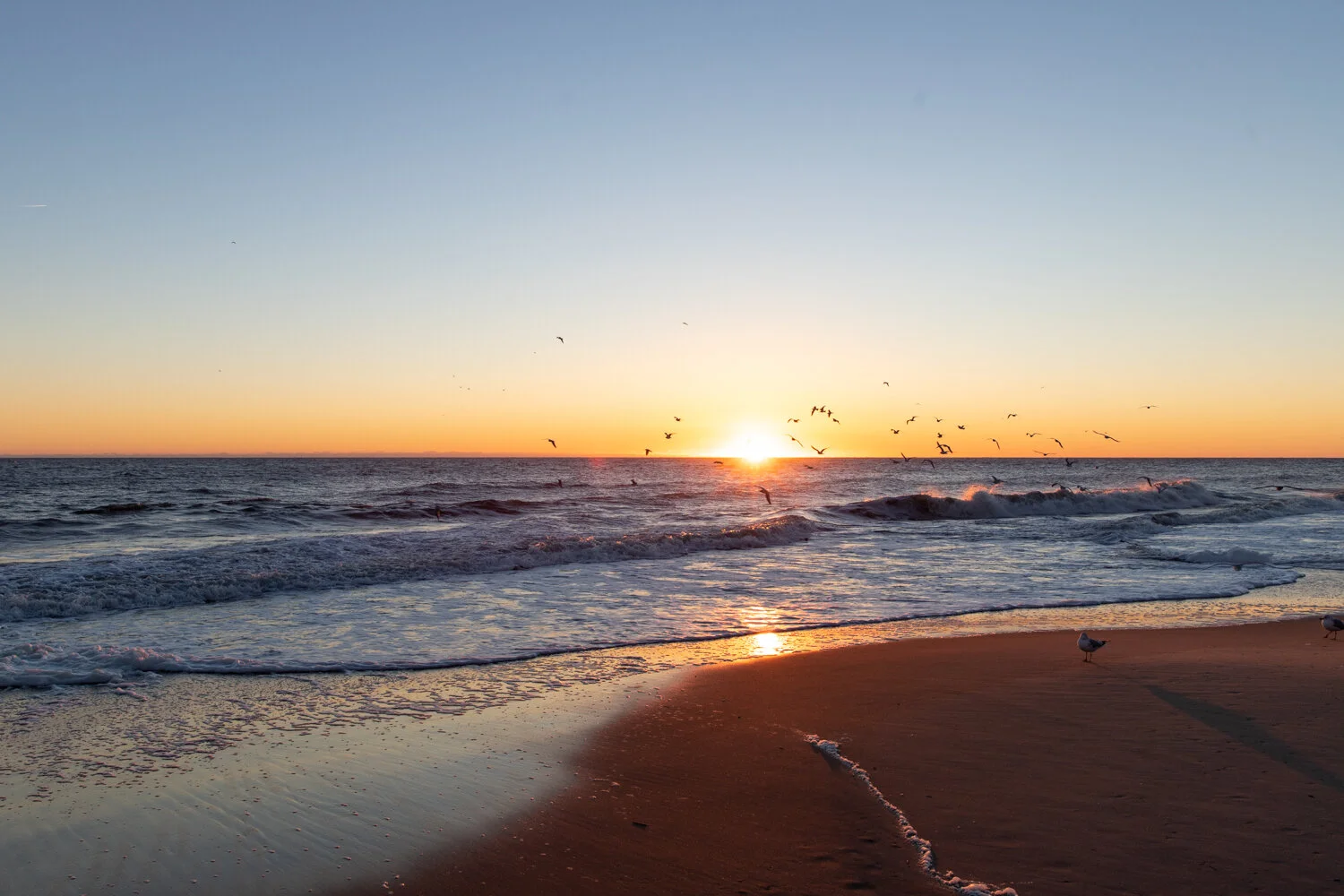 rehobethbeachsunrise_001.jpg