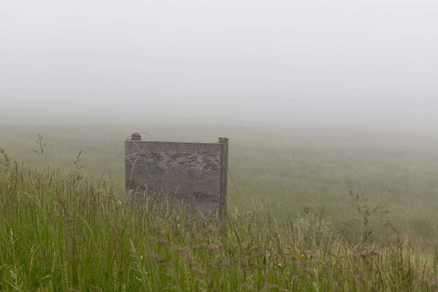 the fog_001.jpg