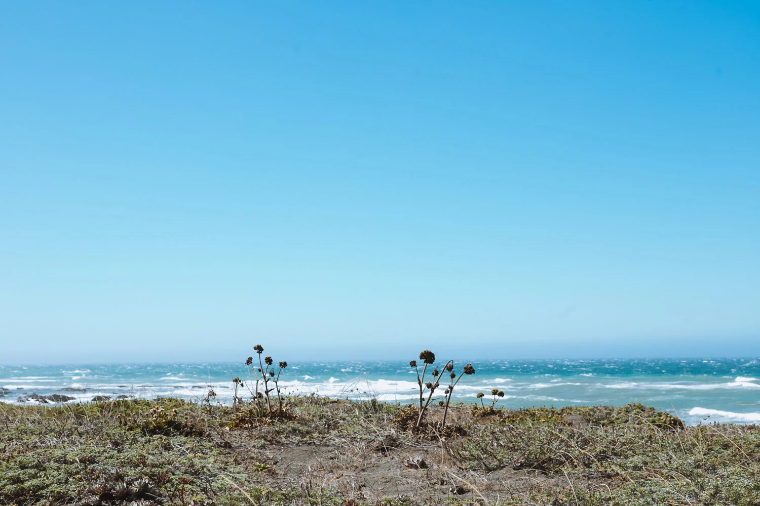 coastal_001.jpg