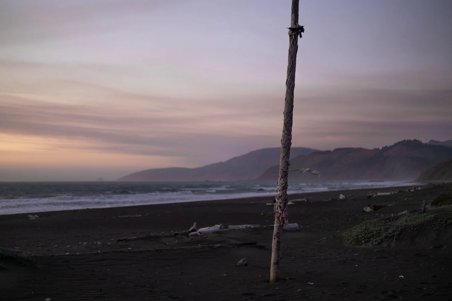 maypoles_001.jpg