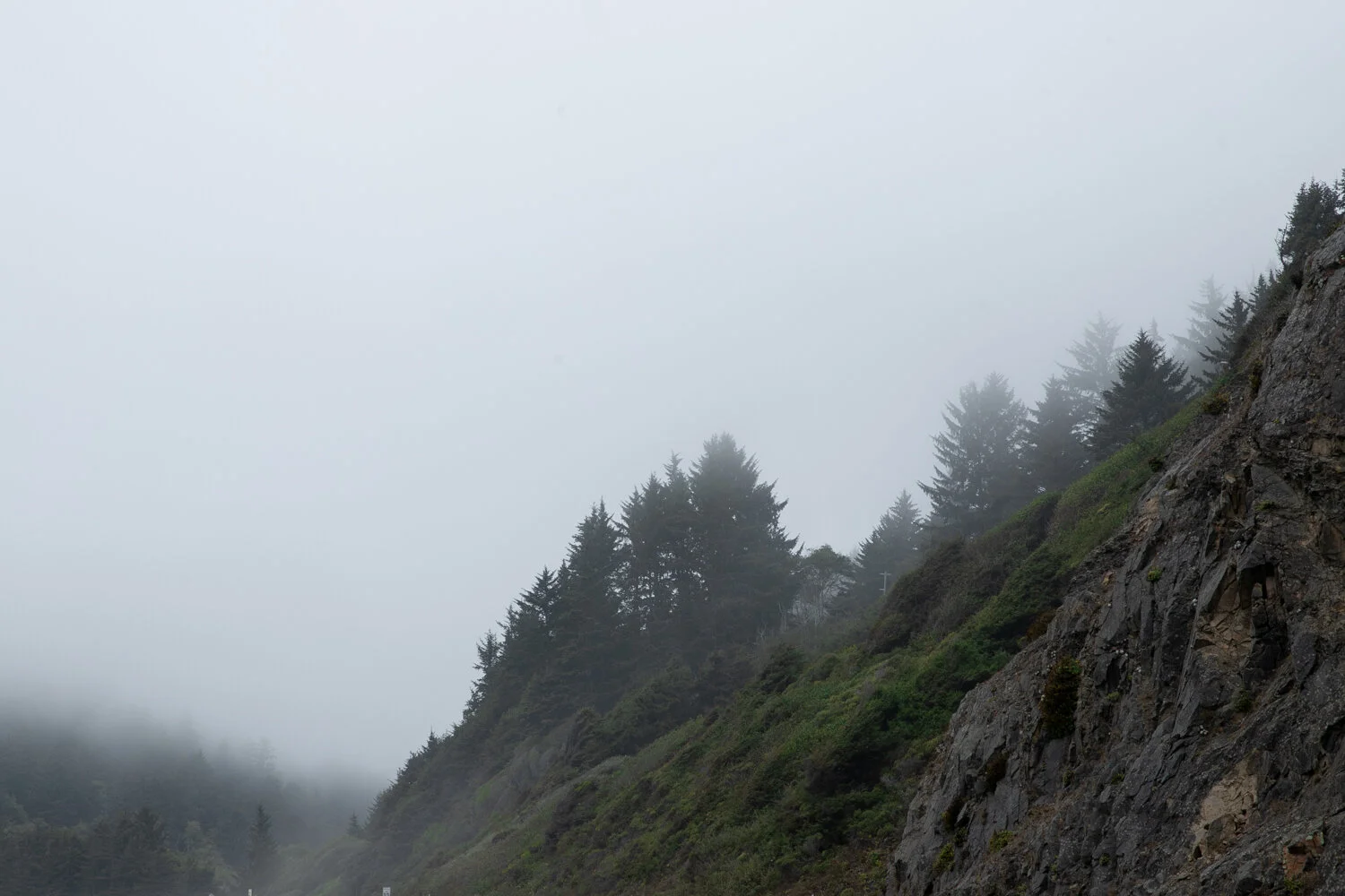 fog_001.jpg