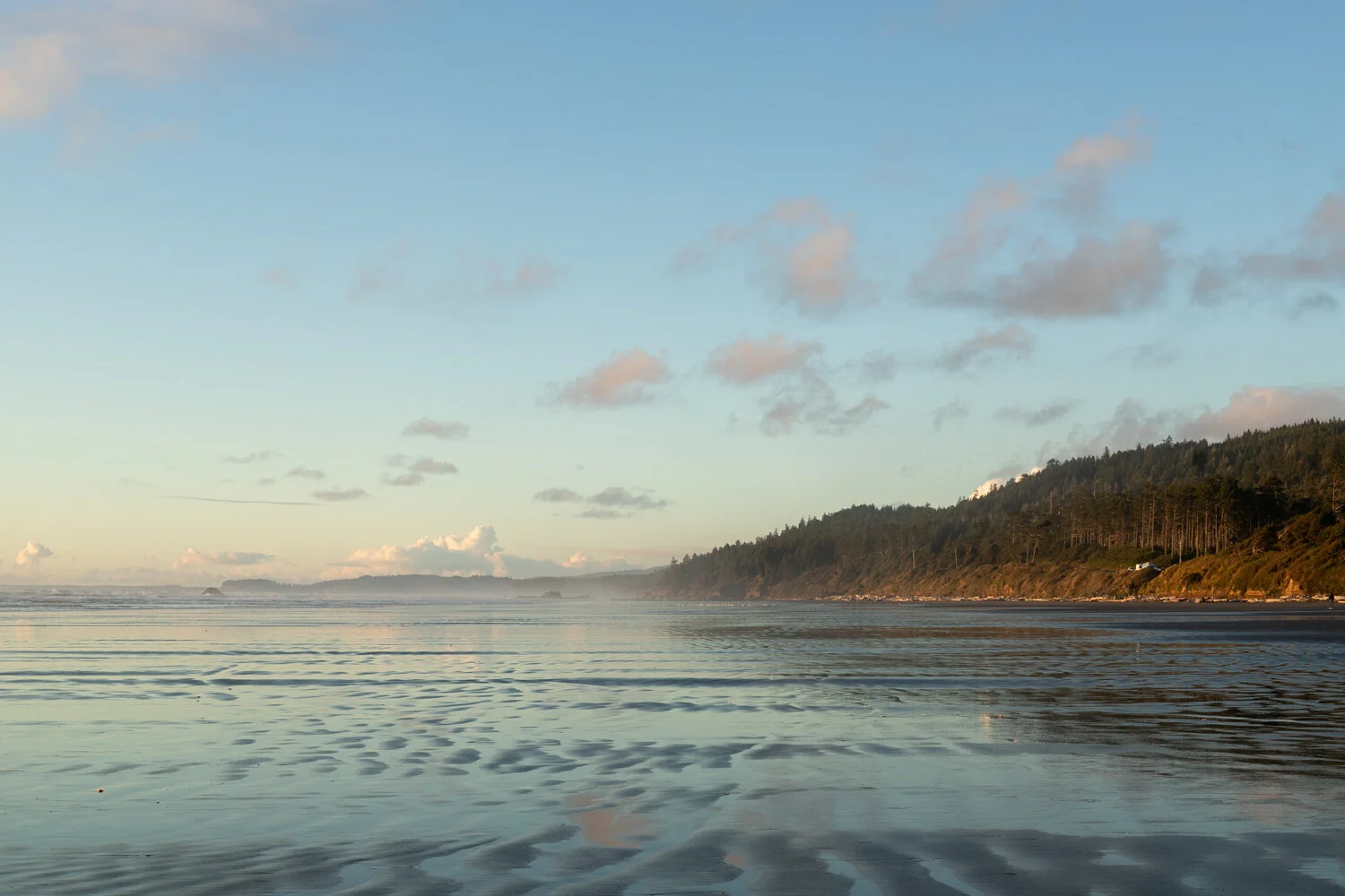 washington coast_001.jpg
