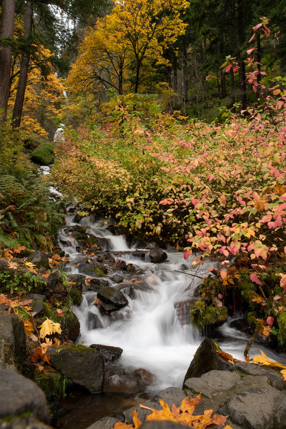 Wahkeena Falls _001.jpg