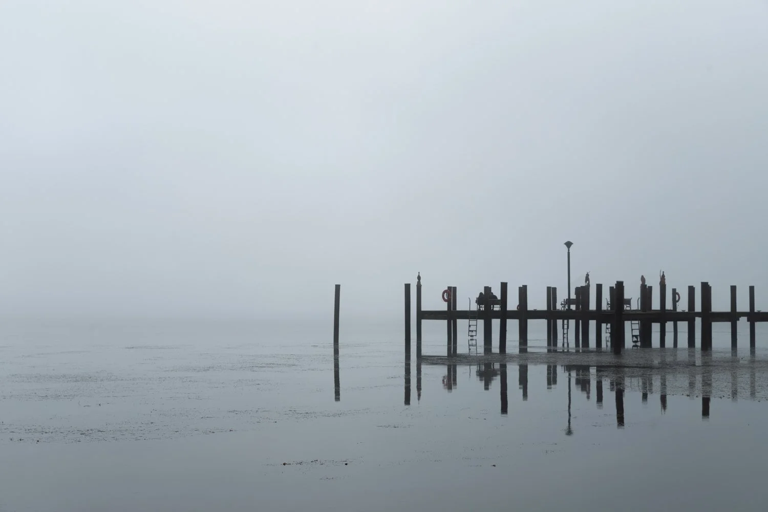 dock_001.jpg