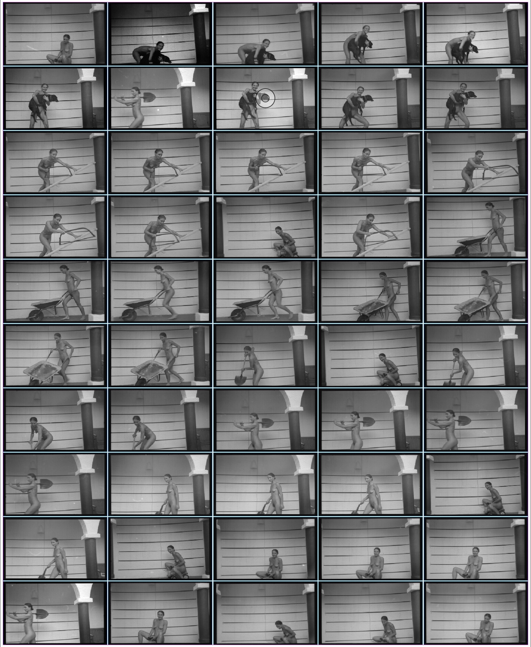 MUYBRIDGE+COMPOSITE+Screen+Shot+2018-02-15+at+17.06.15.jpg