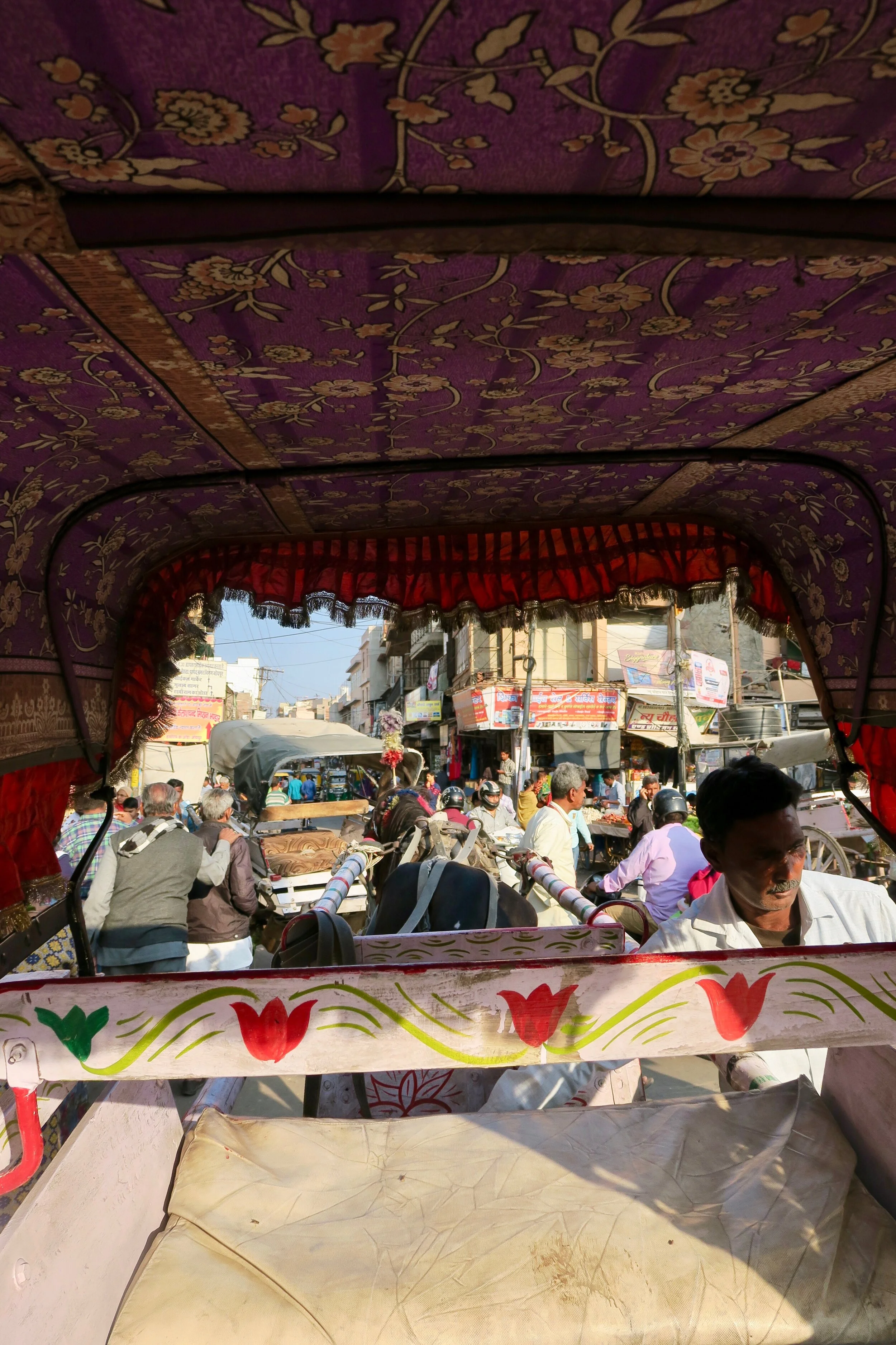  Jodhpur, India 2020   