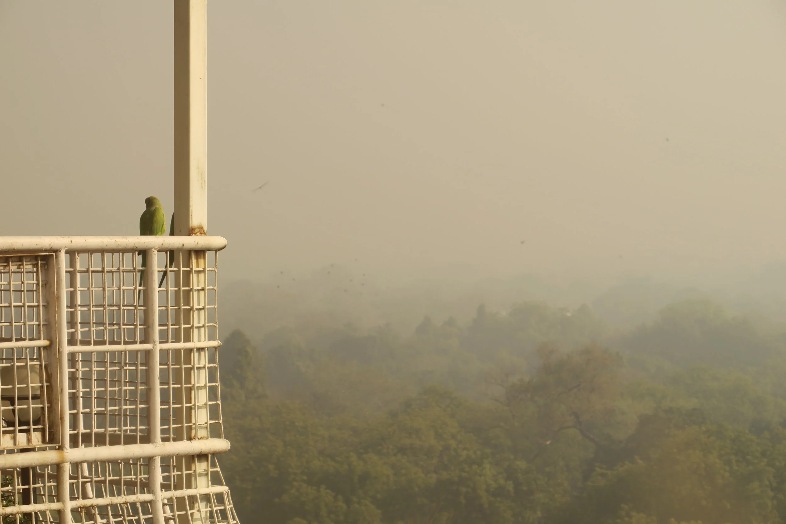  New Delhi, India 2020 