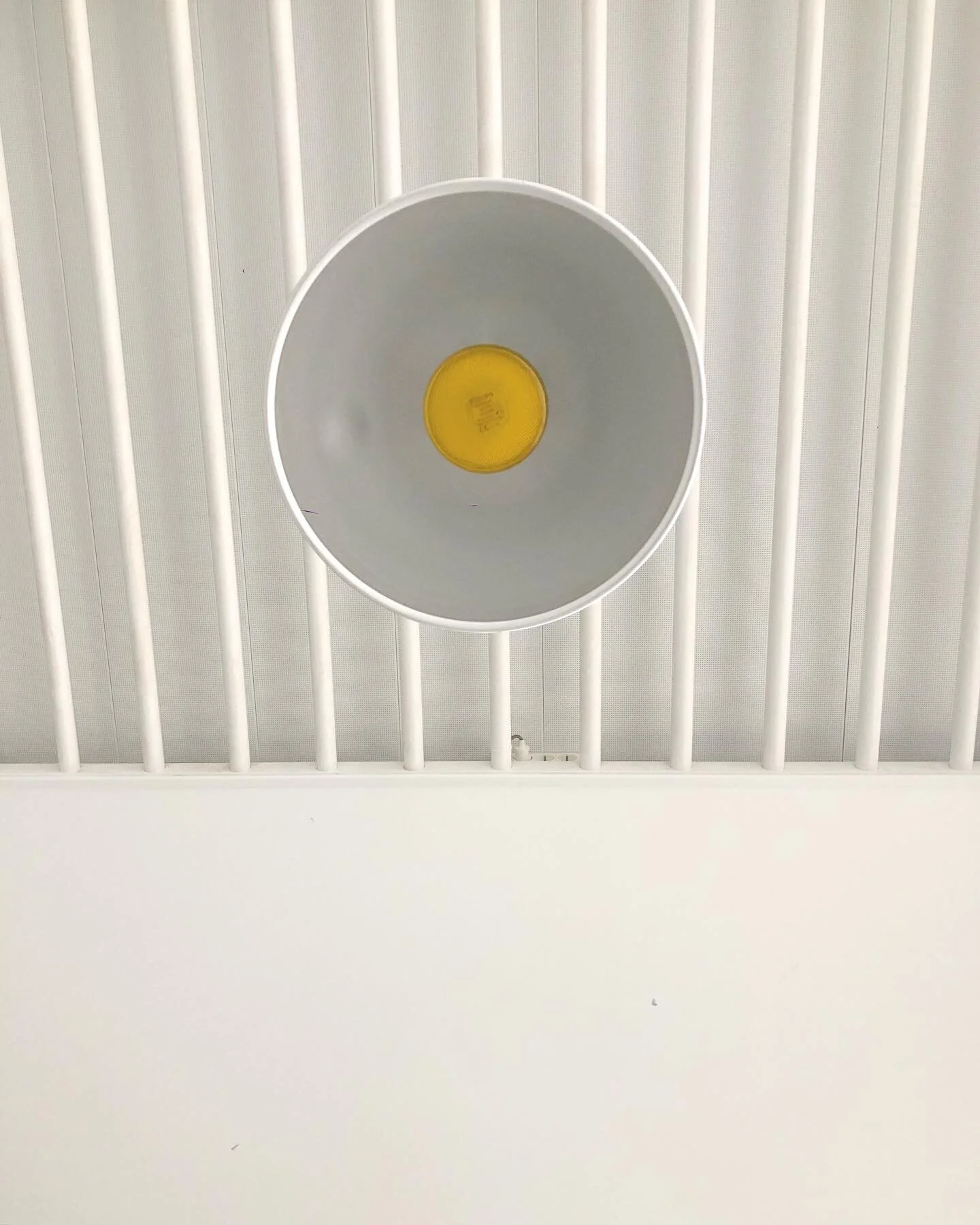 7ADFCE88-574D-4F80-BA5F-BE3C2CFA61D7.jpg