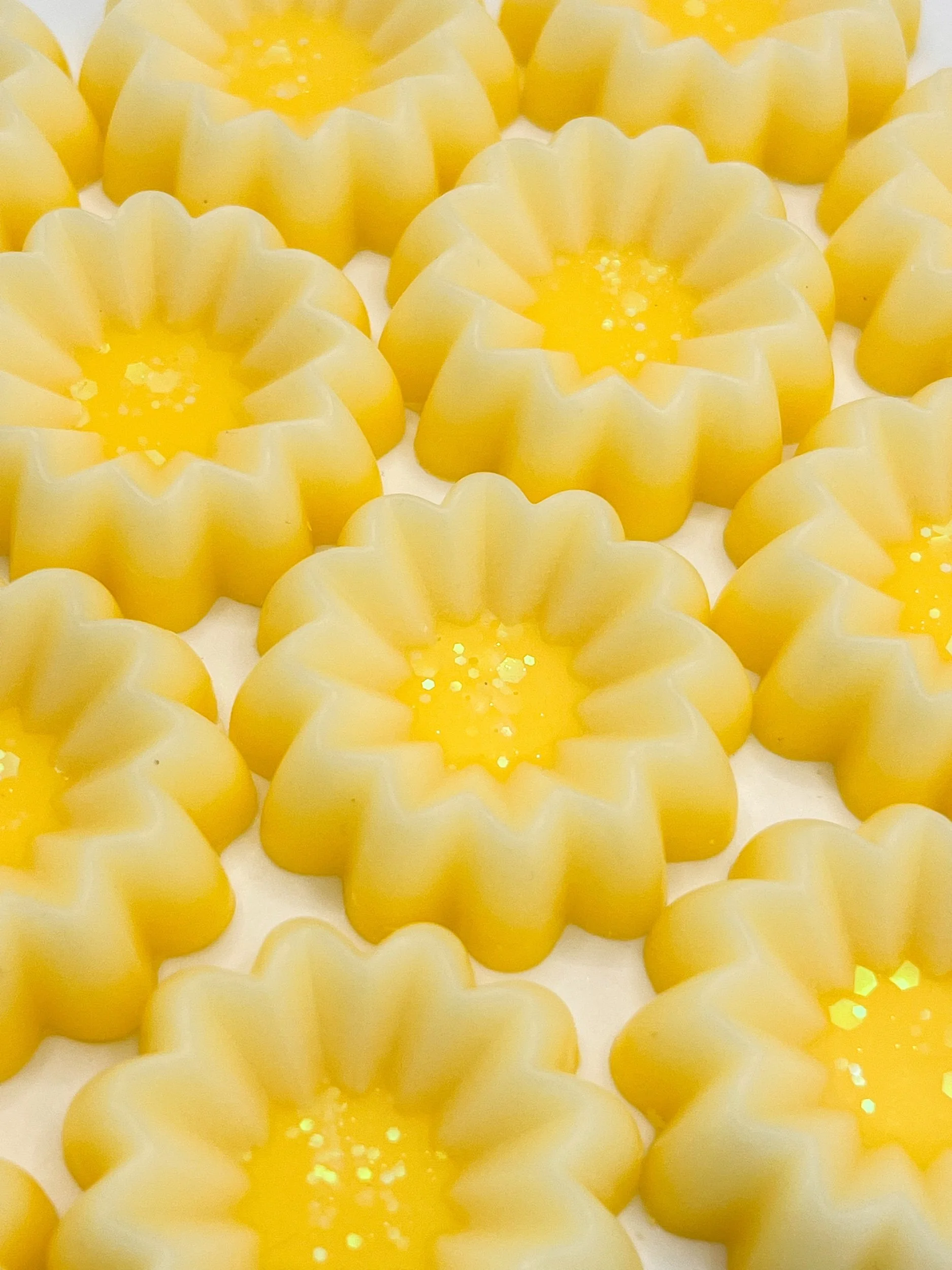 E9726556-249B-4AA0-B8D1-8A99D9990B89.jpeg