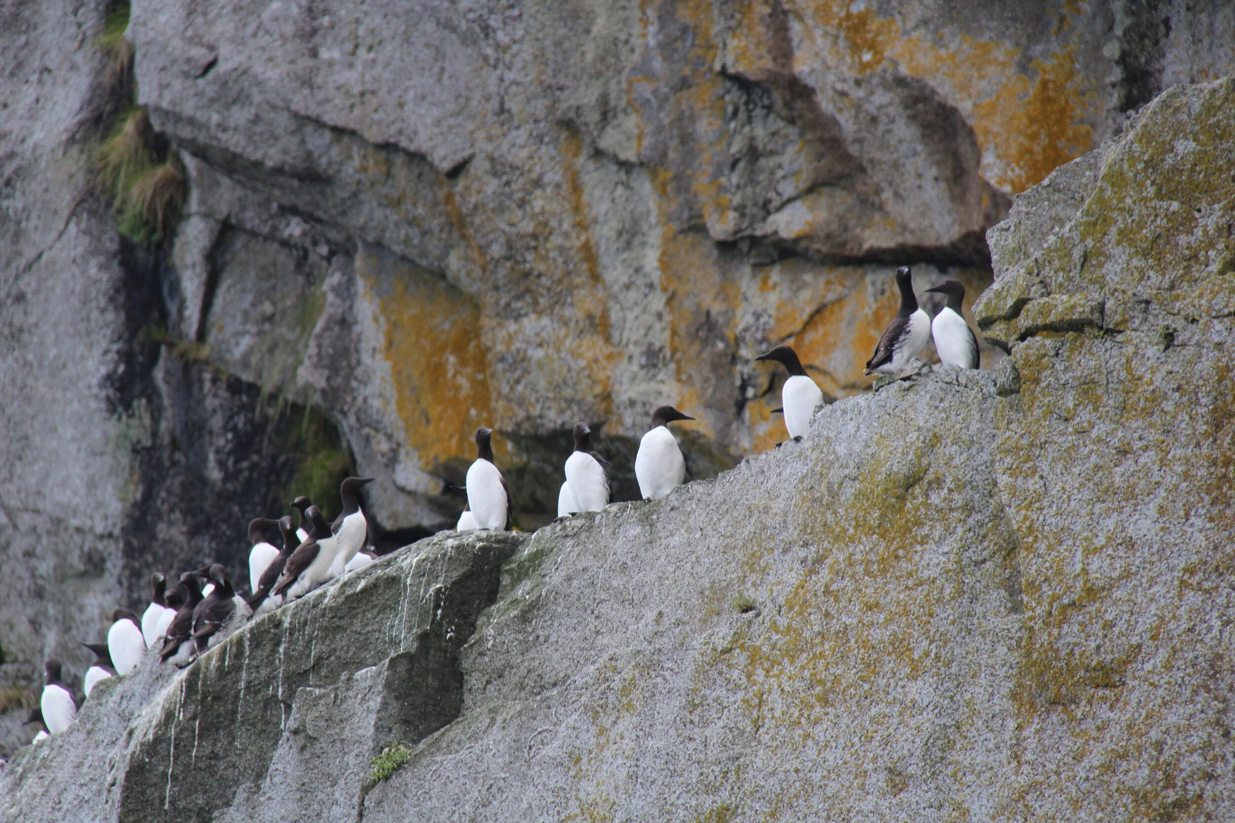 Unforgettable Moments in Alaska