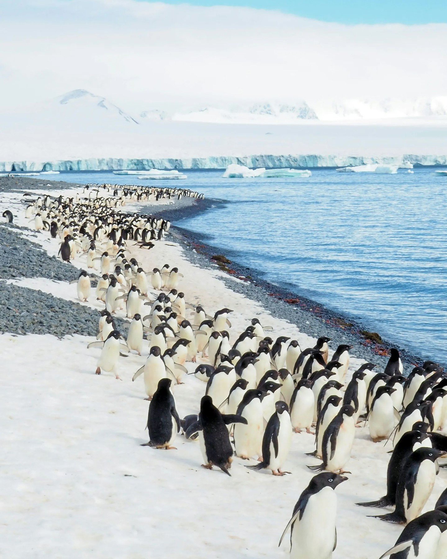 Antarctica isn&rsquo;t a destination you visit on impulse. It&rsquo;s a journey you plan with intention.

Most itineraries depart from the southern tip of South America and include a two-day sail through the Drake Passage in each direction. Sometimes