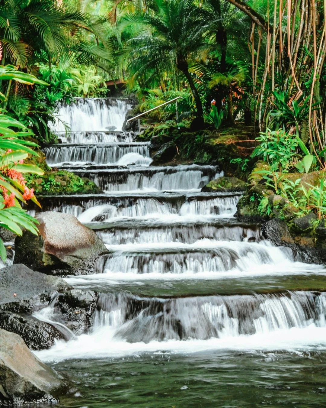 Looking for a destination where you can slow down and seek out adventure in the same trip?

I&rsquo;ve shared seven reasons Costa Rica might be the right fit for your next journey on my website. You can read the post through the link in my profile, a