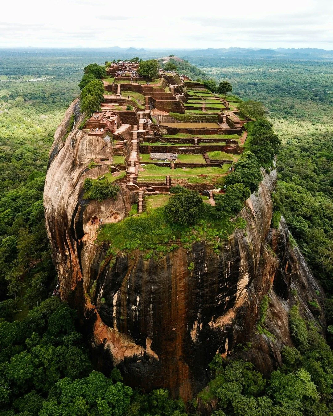 Sri Lanka offers a unique mix of experiences that can feel completely different from one region to the next.

You can explore lush tea plantations in the central highlands, wander through ancient cities with rich history, or relax along golden beache
