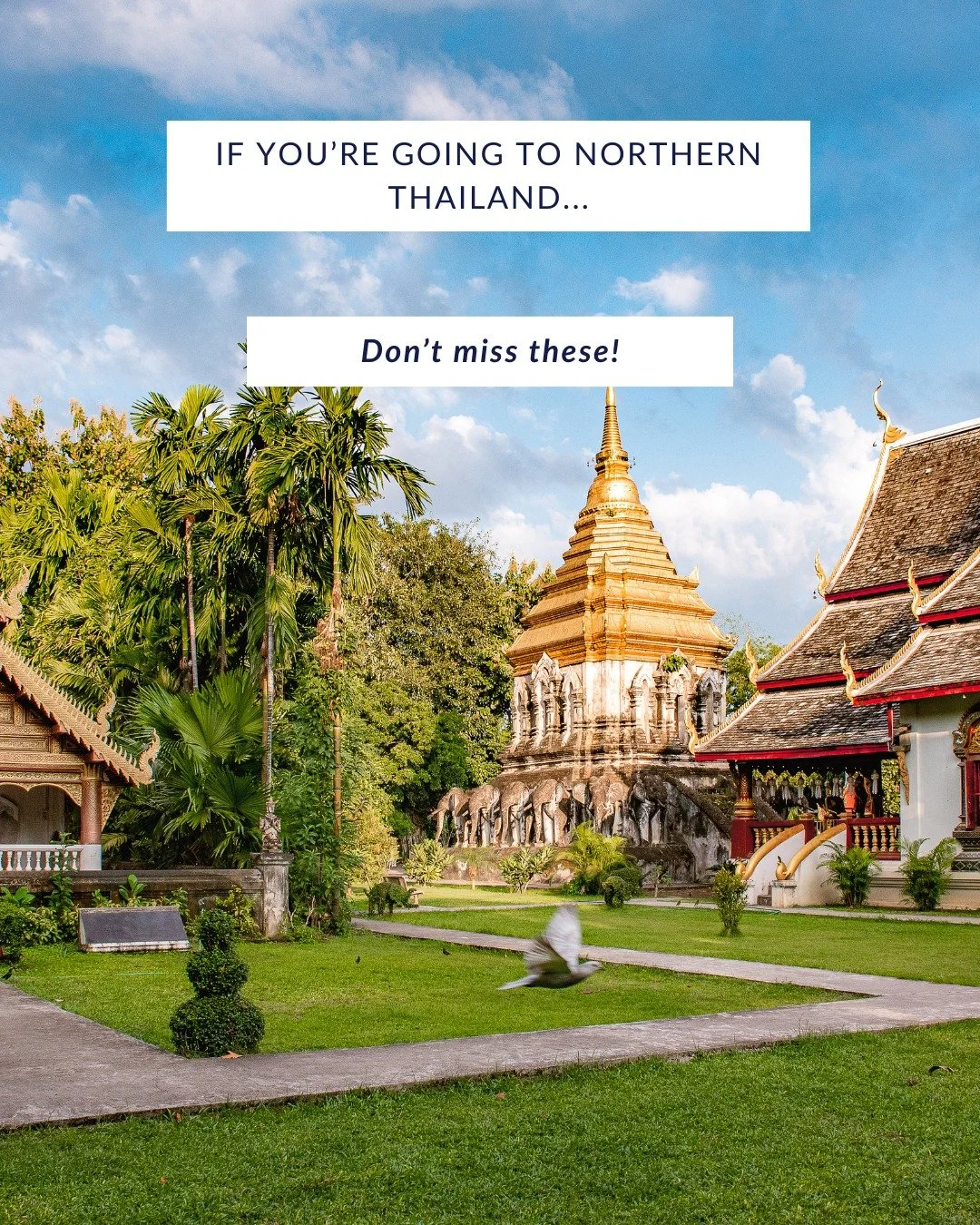Thailand offers endless options.
But not all experiences are created equally.
The difference isn&rsquo;t just what you do &mdash; it&rsquo;s how you do it.

Private access.
The right ethical partners.
Thoughtful pacing.
Context that transforms a visi