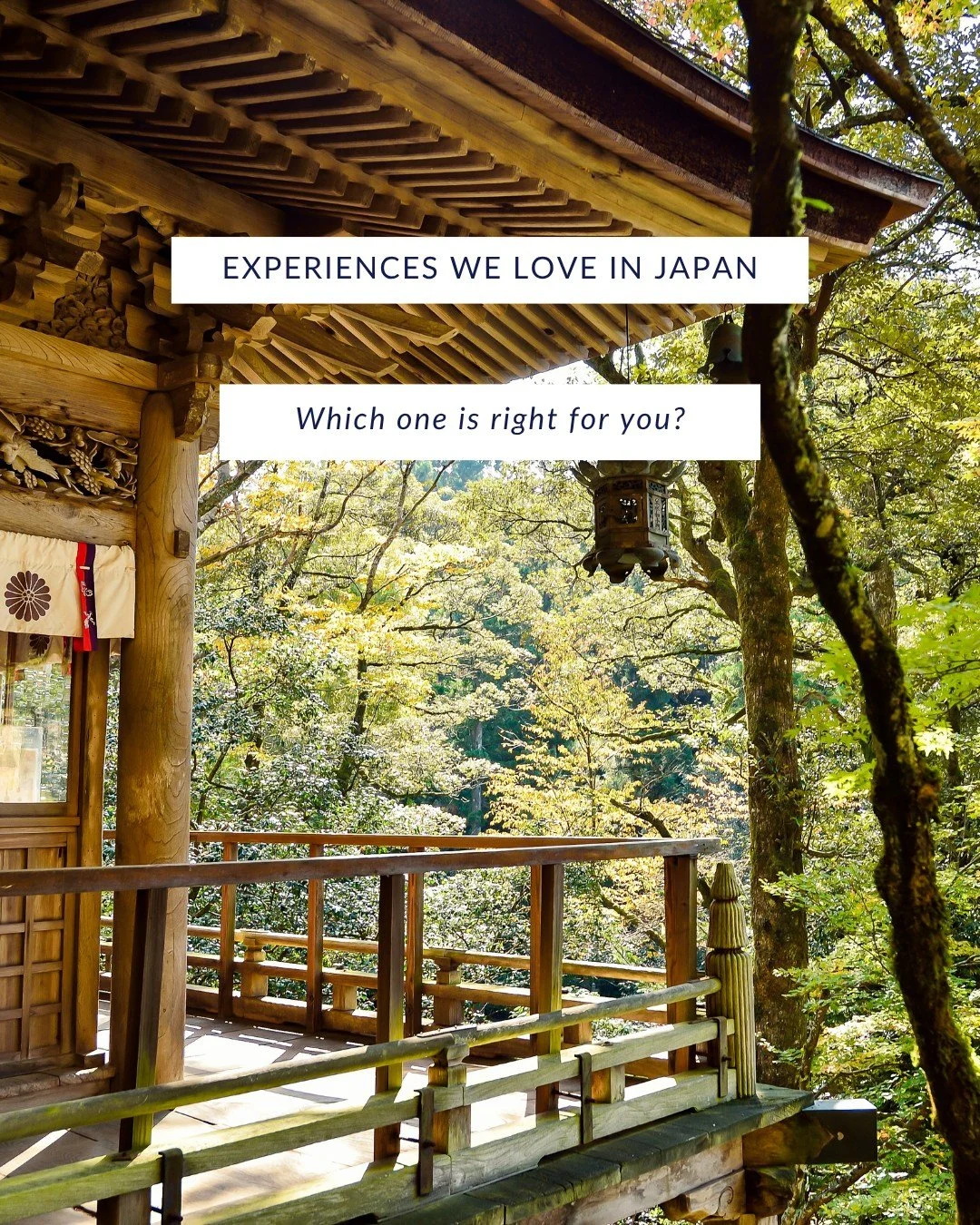 Japan is layered, precise, and endlessly fascinating. The difference between a good trip and an unforgettable one is intentional design.

Stay in private ryokans. Discover art islands. Taste local culinary secrets. Witness cultural traditions up clos