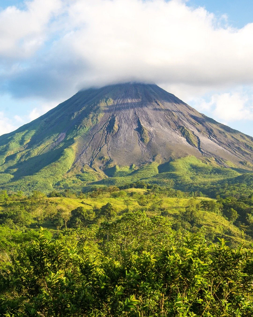 Some destinations invite you to slow down and truly connect with nature. In Costa Rica, that spirit is captured in the phrase &ldquo;pura vida,&rdquo; a way of life that celebrates simplicity, joy, and being present.

Mornings might begin with monkey