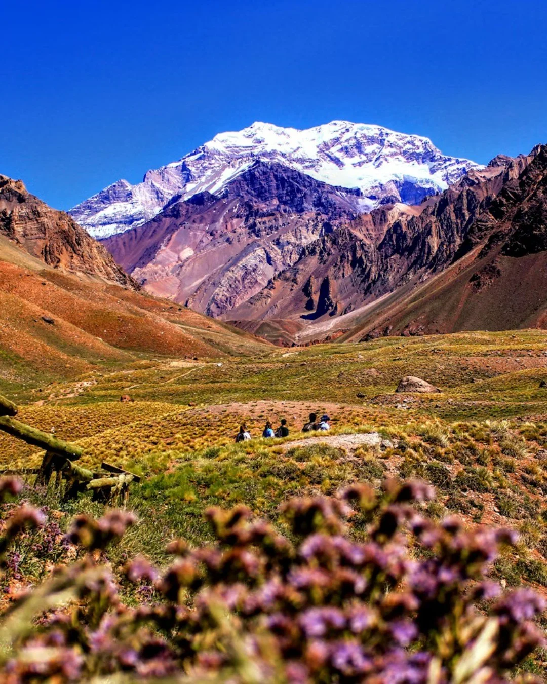 From glaciers to vineyards to vibrant cities, Argentina is a country of incredible contrasts.

Travelers can explore the dramatic landscapes of Patagonia, the wine regions of Mendoza, and the energy of Buenos Aires, all within one destination. The cl