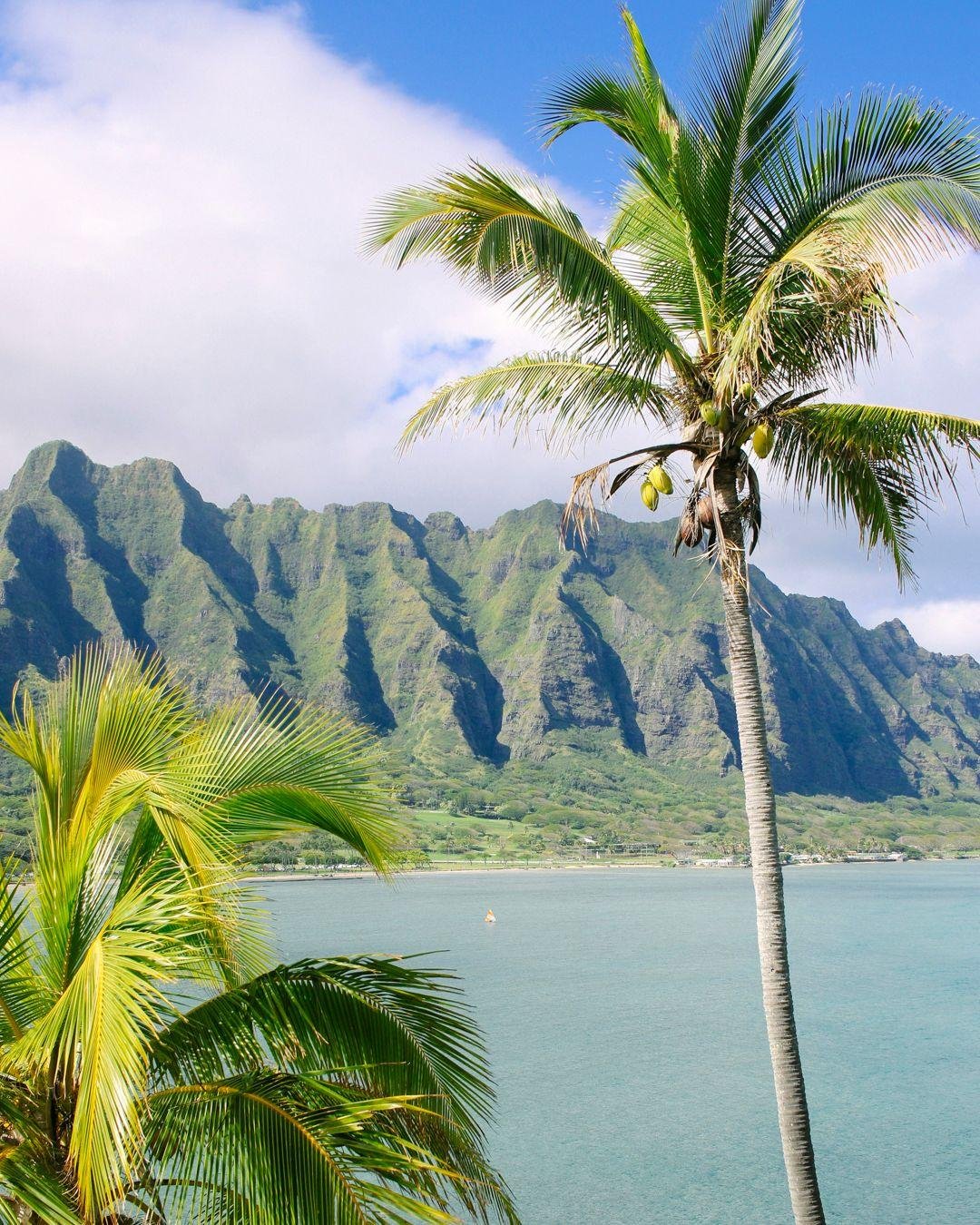 Big Island, Maui, Kauai, Oahu, Lāna&lsquo;i: Hawaii isn&rsquo;t just one destination. It&rsquo;s five distinct worlds, each with its own magic.

I&rsquo;ll help you find the island that fits your style, and arrange the details from the right accommod