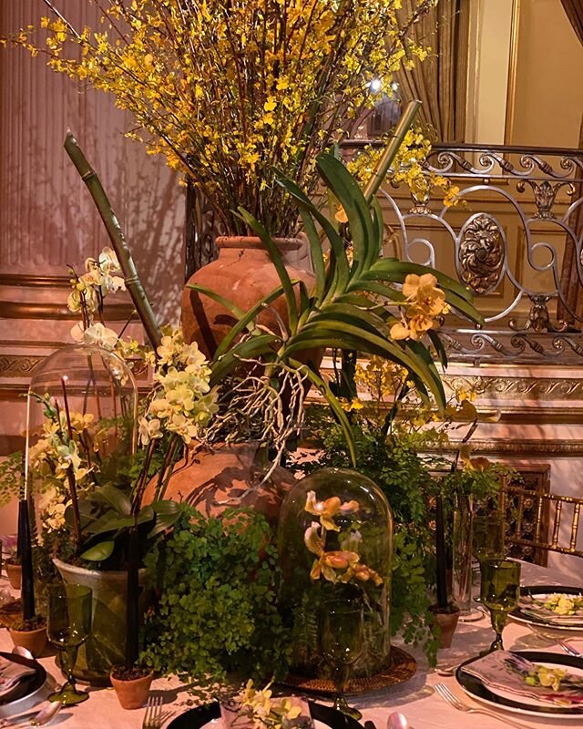 Incredible evening for @nybg | @chapmanandbarrett X @manscapersny table@for@the annual Orchid Dinner. Thank you @nybg @battalion_pr @carriebarratt @jeffleatham all the other designers and everyone who attended!