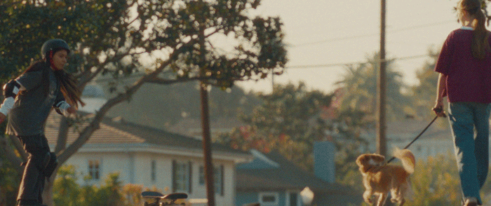 SB-FILM_4.gif
