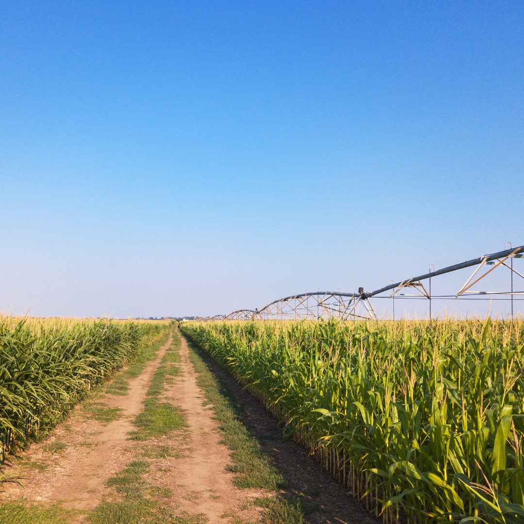 Everything You Need To Know About The New Agricultural Clean Technology Program