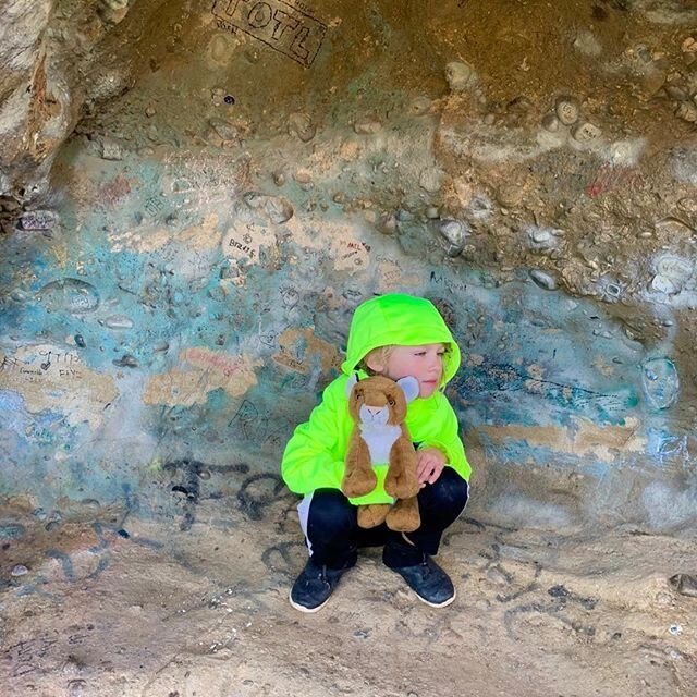 I noticed bright Leon as I was hiking up the Eagle Rock trail in Topanga. The day was clear, crisp and fresh after two weeks of rain. This feral little boy was wandering off the beaten path. Minutes later, I discovered him quietly poised in a cave fa