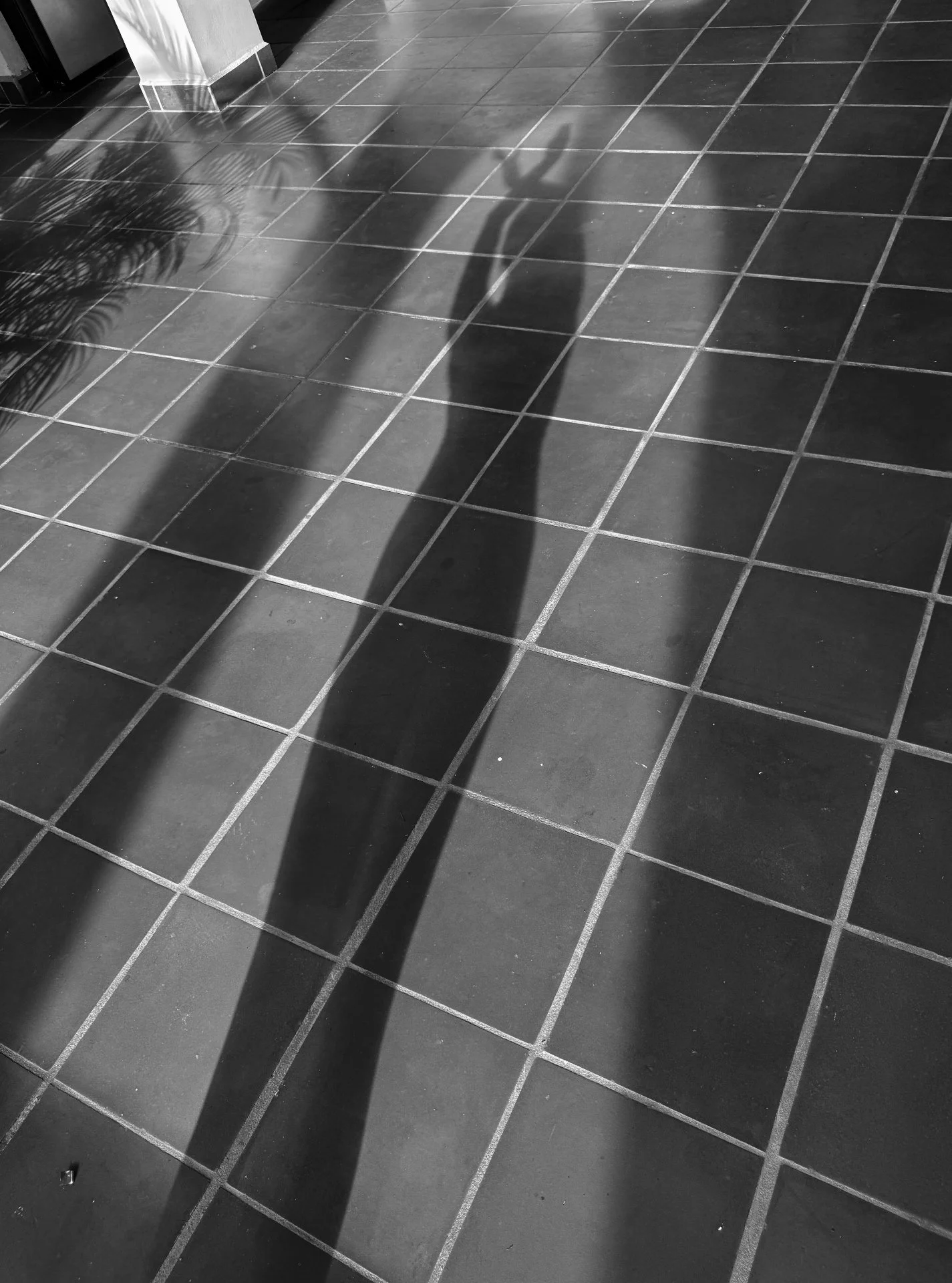 Here&rsquo;s a place like no other
that makes the mystic dancer want to dance
with light and shadow.

Just because.

#dancingshadow #being #embracebeautyhereandnow #cosmikanosara